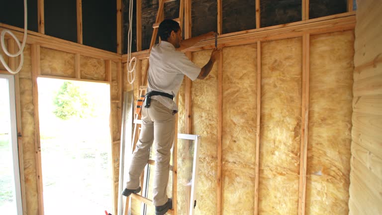 Best Wall Insulation Installation  in Coal City, IL